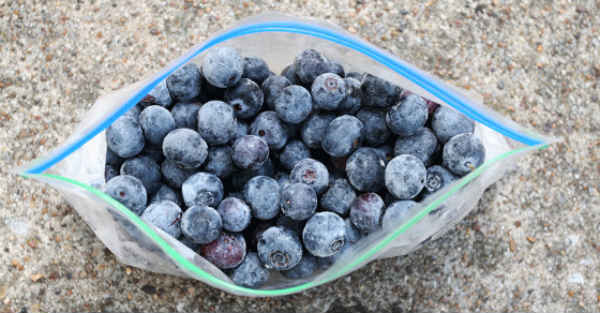 Five Reasons to Freeze Your Blueberries