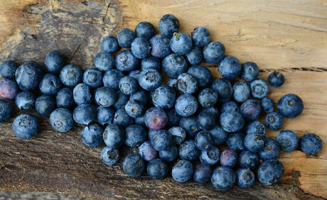 Blueberry crops in British Columbia & Michigan